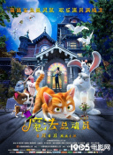 探索山海异闻录的最佳阵容组合与策略